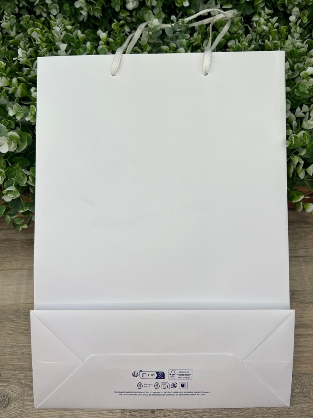Burberry Authentic Classic Gift Bag / Shopping Bag - Picture 4 of 12